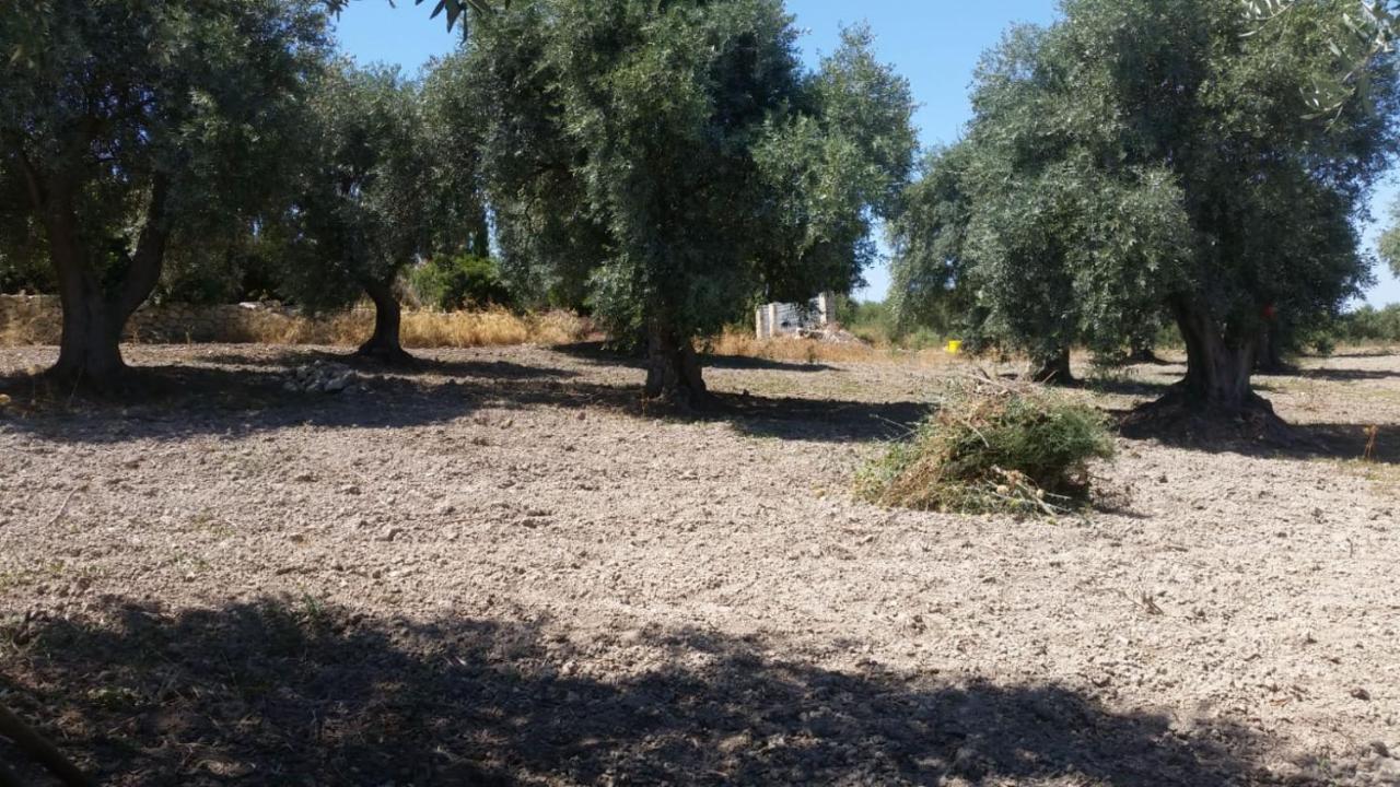Serra Niedda Resort & Agriturismo Sorso Buitenkant foto