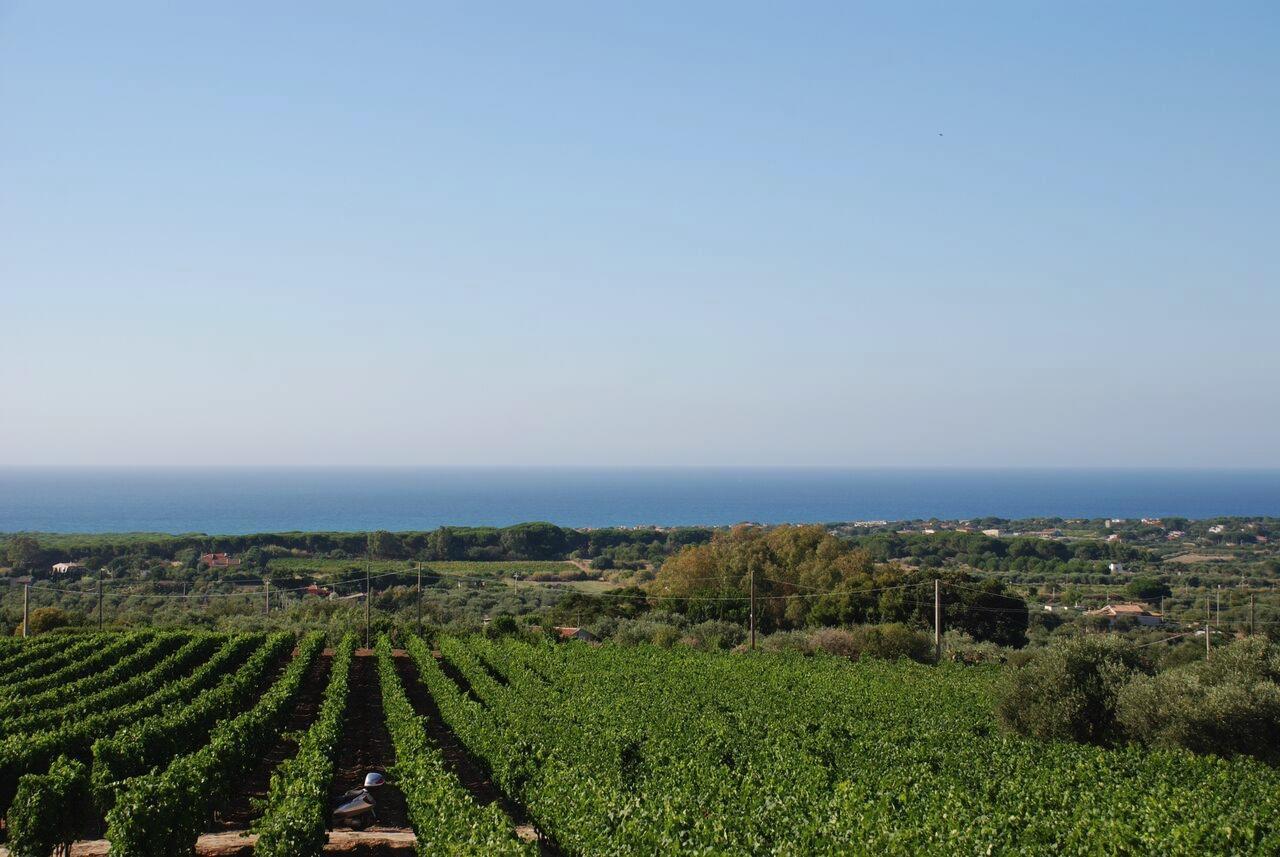 Serra Niedda Resort & Agriturismo Sorso Buitenkant foto