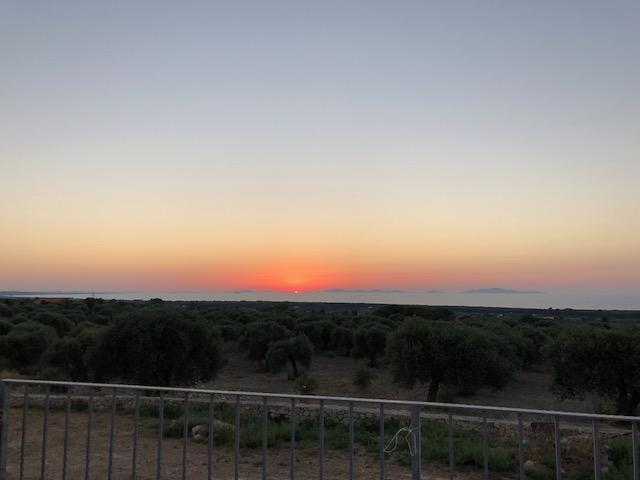 Serra Niedda Resort & Agriturismo Sorso Buitenkant foto